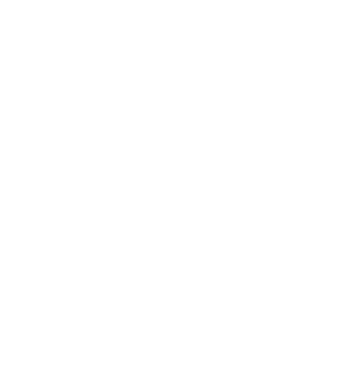 Co-funded by the European Union
